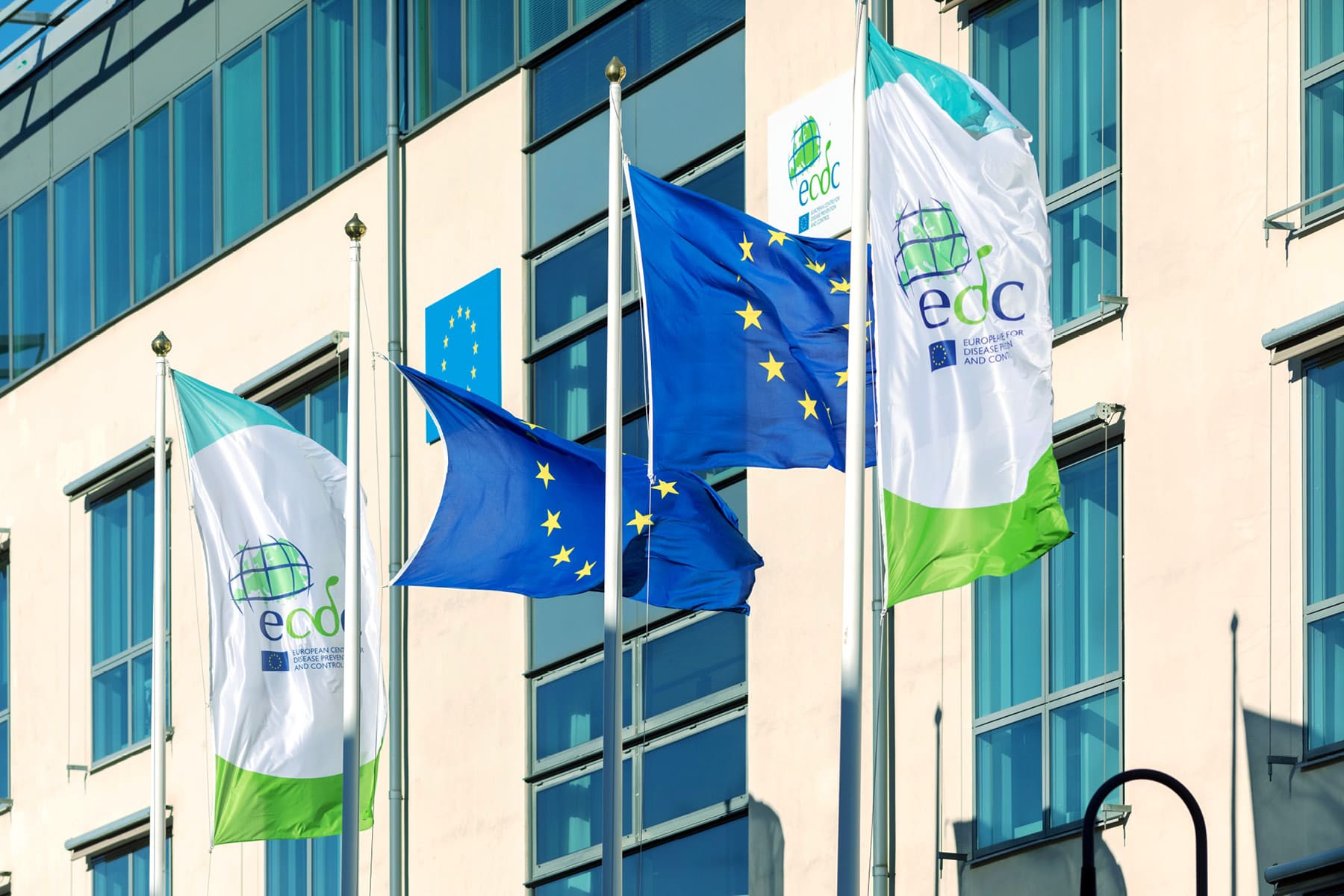 ECDC Observership